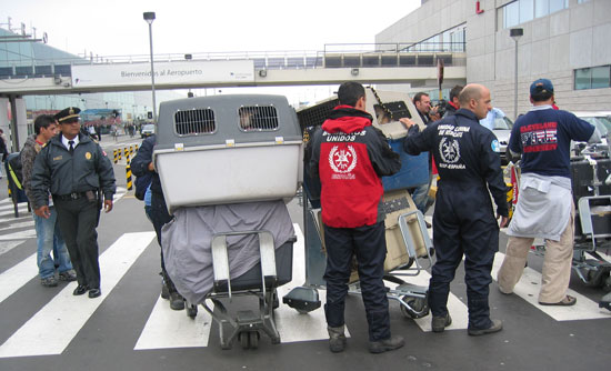 Imagen de los bomberos en el aeropuerto.