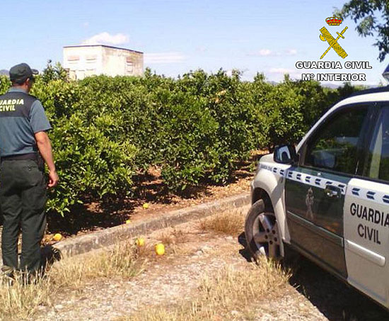 Un agente de la Guardia Civil realiza labores de vigilancia en una finca agrícola.
