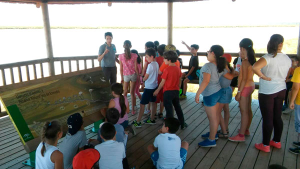 Visita de escolares a la Reserva de la Biosfera Marismas del Odiel dentro del programa 'Mi marisma, mi escuela'