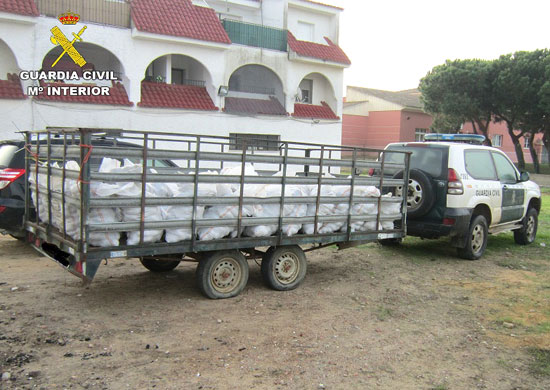 Un vehículo de la Guardia Civil transporta las piñas incautadas.